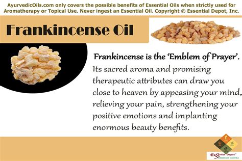 Frankincense Essential Oil: Health Benefits, Dosage, and More